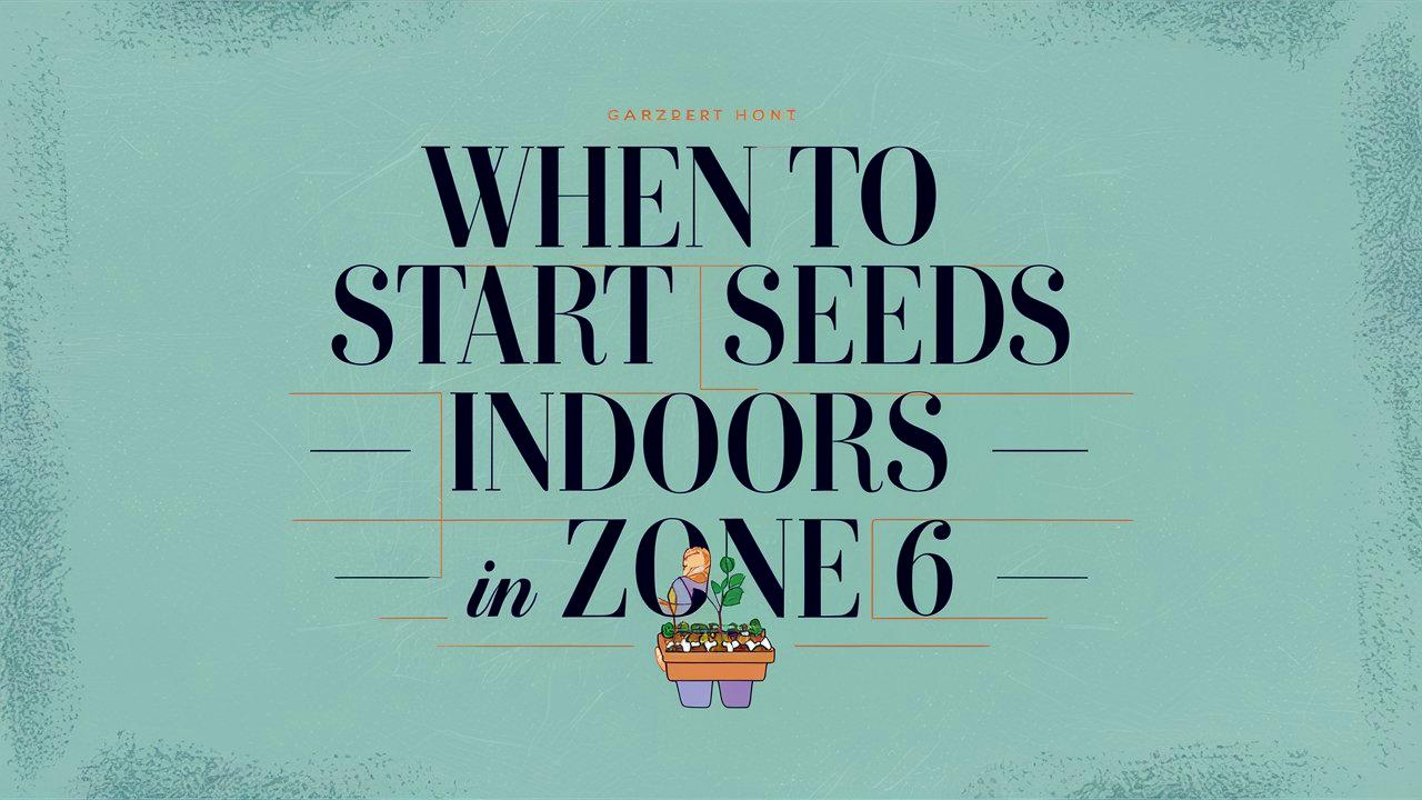 When To Start Seeds Indoors In Zone 6