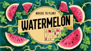 Where To Plant Watermelon