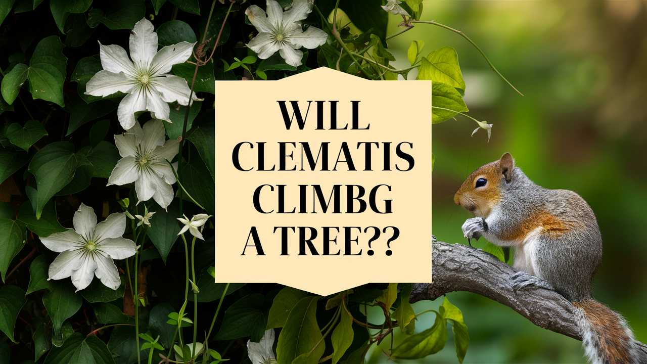 Will Clematis Climb A Tree?