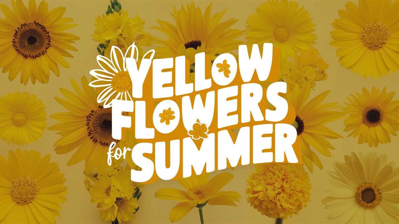 Yellow Flowers For Summer