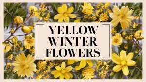 Yellow Winter Flowers