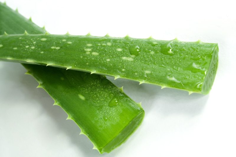 aloe, spa, green