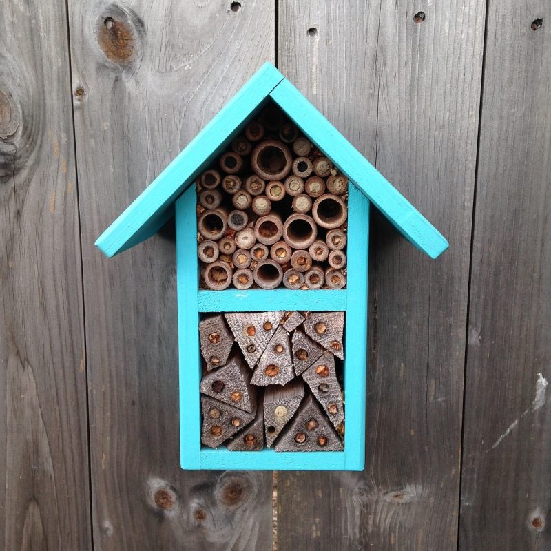 bees, pollinators, bee house