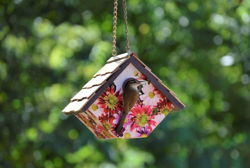 birdhouse, bird, garden