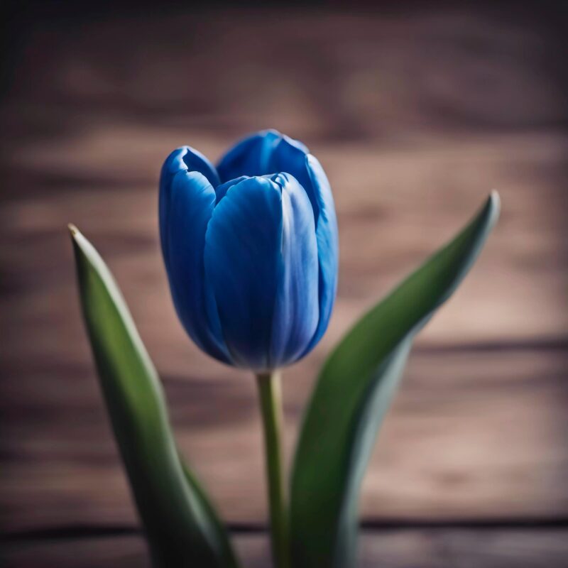 ai generated, flower, floral background, plant, tulip, nature, blue tulip, flora, floral, background
