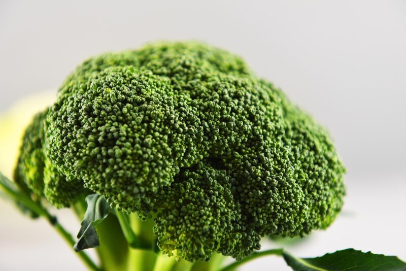 broccoli, vegetable, green, grocery, produce, grocery product, fresh, fresh broccoli, fresh produce, harvest, organic, food, healthy, close up, broccoli, broccoli, broccoli, broccoli, broccoli