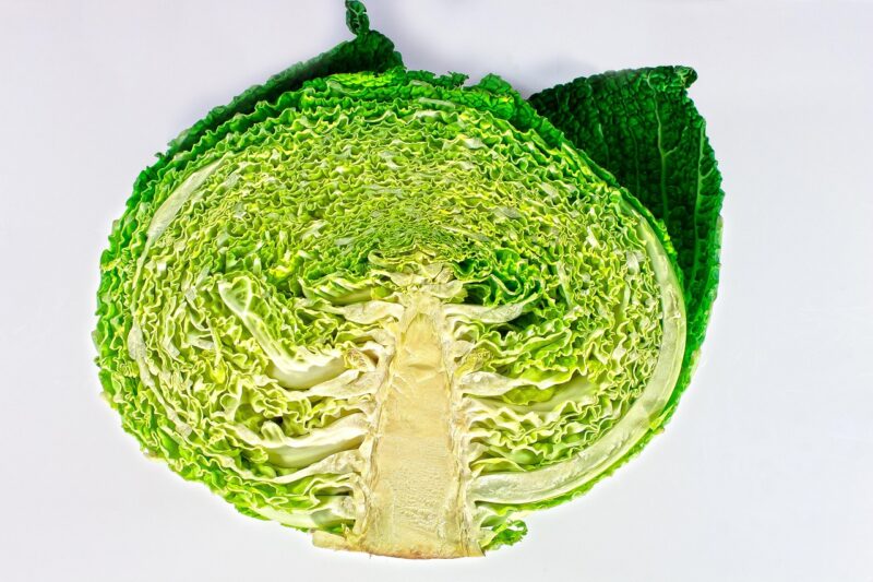 savoy, vegetables, healthy, savoy cabbage, cabbage, meal, vitamin, nourishment, food, bio, agriculture, fresh, halved, cabbage, cabbage, cabbage, cabbage, cabbage