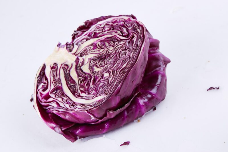 vegetable, food, cabbage, green vegetables, purple cabbage, cabbage, purple cabbage, purple cabbage, purple cabbage, purple cabbage, purple cabbage