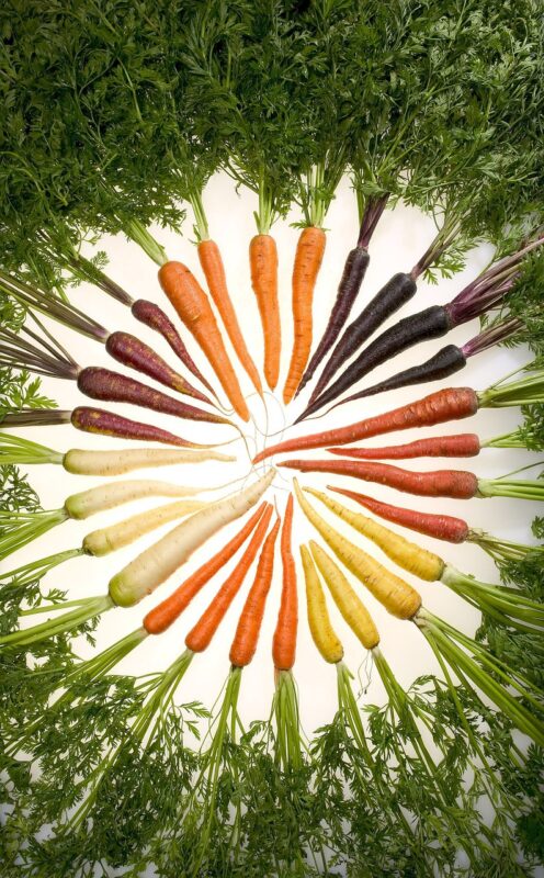 carrots, variety, vegetables, vegetable, veggie, nature, plants, carrot, carrots, carrots, variety, variety, variety, variety, variety, carrot, carrot, carrot