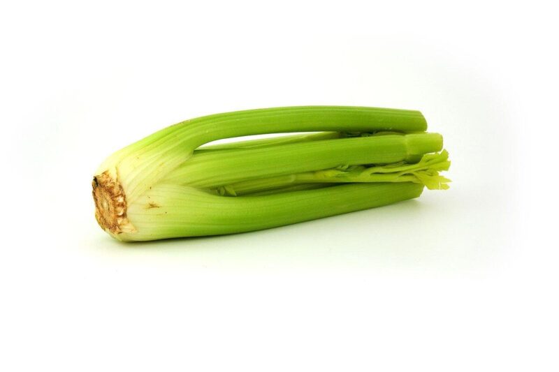 celery, green, greenery, market, vegetable, diet, vitamins, celery, celery, celery, celery, celery