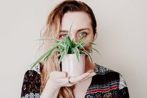 How To Repot A Spider Plant