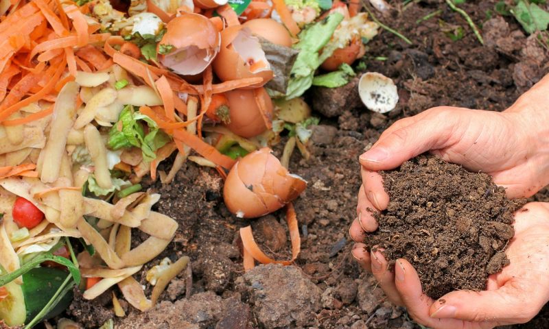 compost, ecology, waste