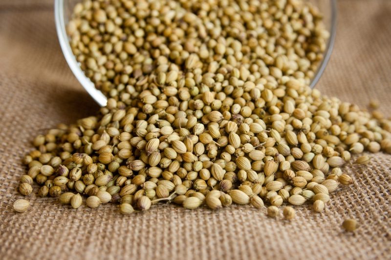 coriander, seeds, seasoning