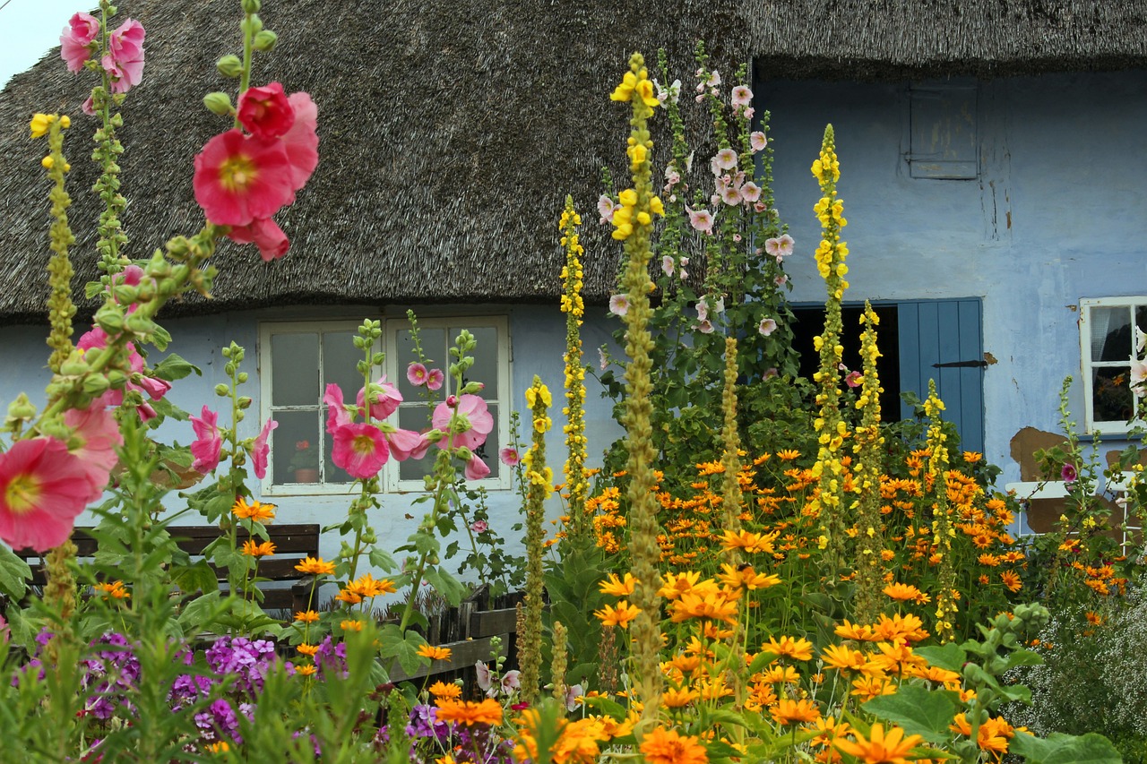 Cottage Core Garden