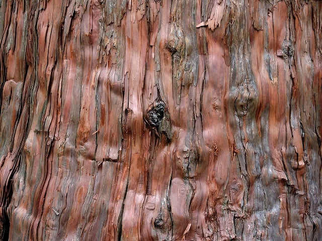 cypress mulch vs cedar mulch