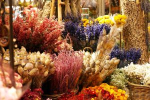 How To Dry Flowers in the Microwave