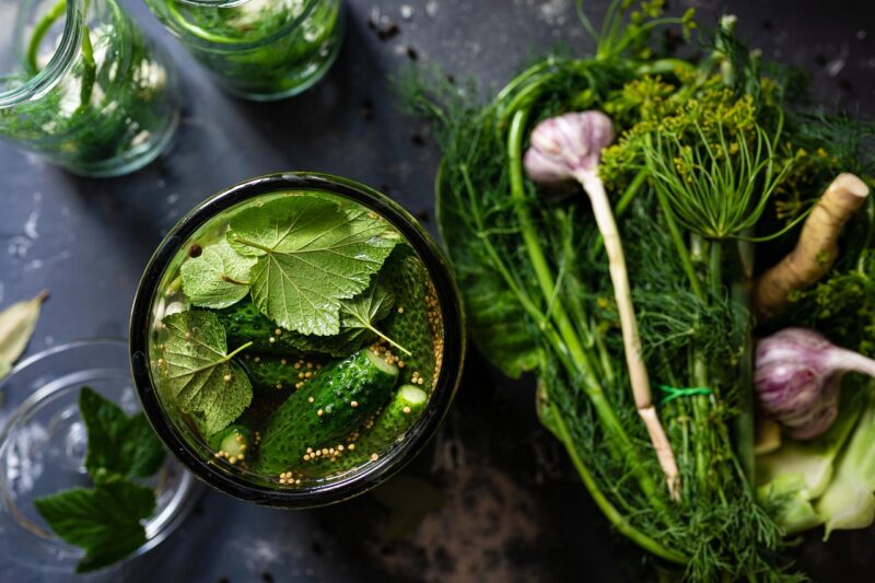 pickled, cucumbers, vegetable, leaves, water, jar, pickle, dill, nature, garlic, organic, food, preservation, healthy, nutrition