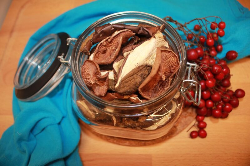 dried mushrooms, food, nature, dried, mushrooms, dry, collecting, kitchen, collect, autumn, drying, forest, jar