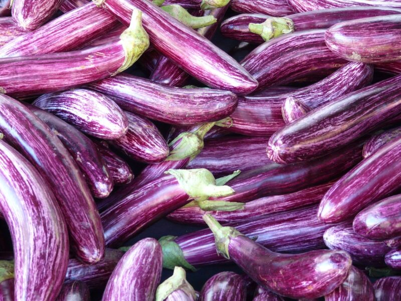 eggplant, mark, purple, violet, striped, solanum melongena, egg fruit, fruit, market, sale, melanzana, subtropical plant, nightshade, solanum, eggplant, eggplant, eggplant, eggplant, eggplant