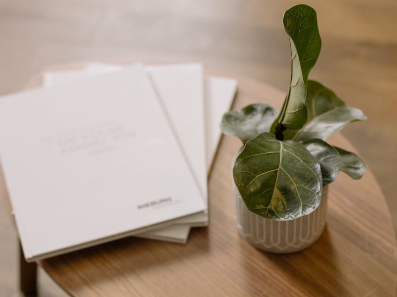 Green Potted Plant on Wooden Table Top