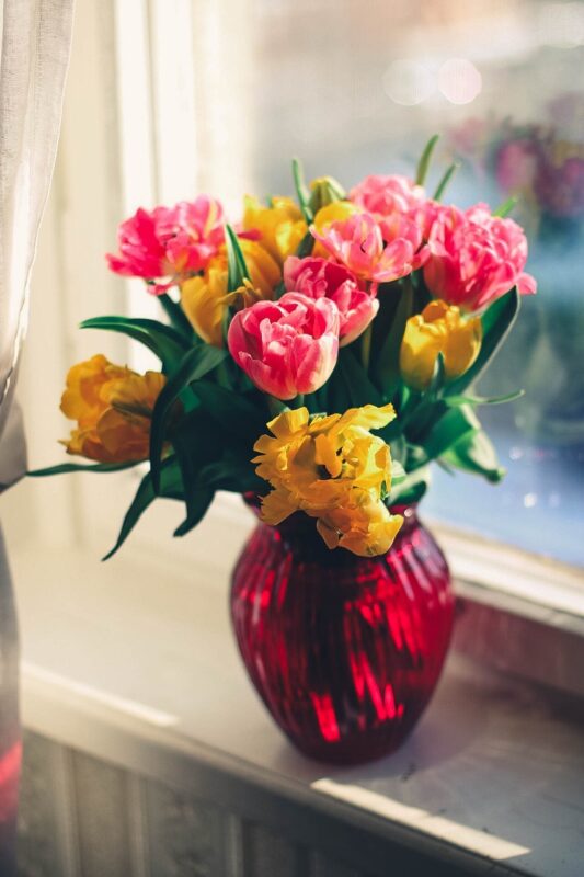 vase, nature, flowers, window, flower wallpaper, floral arrangement, flower arrangement, blossom, bloom, bouquet, decoration, flora, vase, flowers, beautiful flowers, flower arrangement, flower background, bouquet, bouquet, bouquet, bouquet, bouquet