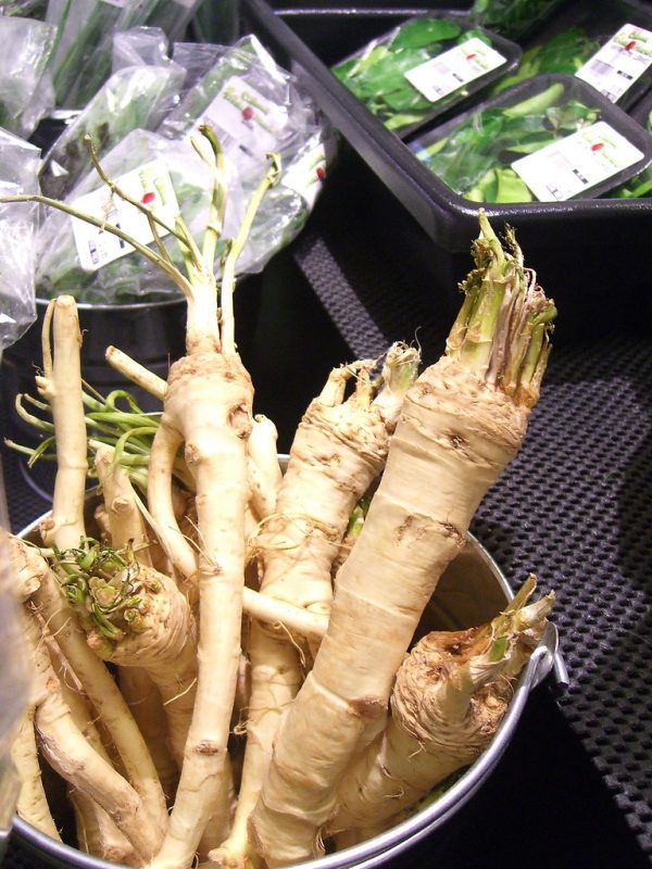 Fresh Horseradish