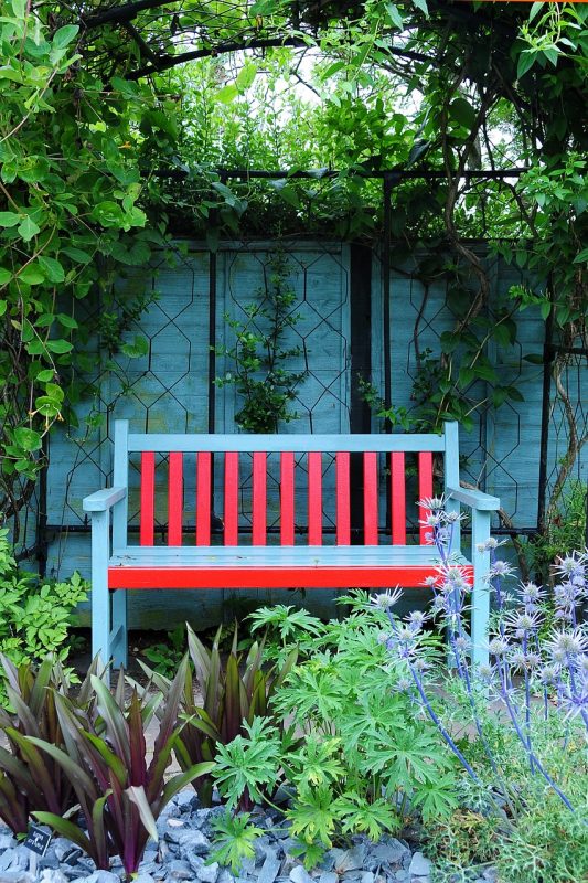 garden, nature, bench