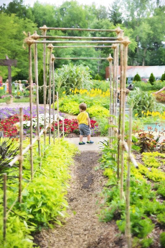 garden, arbor, green, summer, yard, outdoor, nature, gardening, patio, garden design, pergola, green design