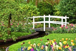 What To Plant In July In Georgia