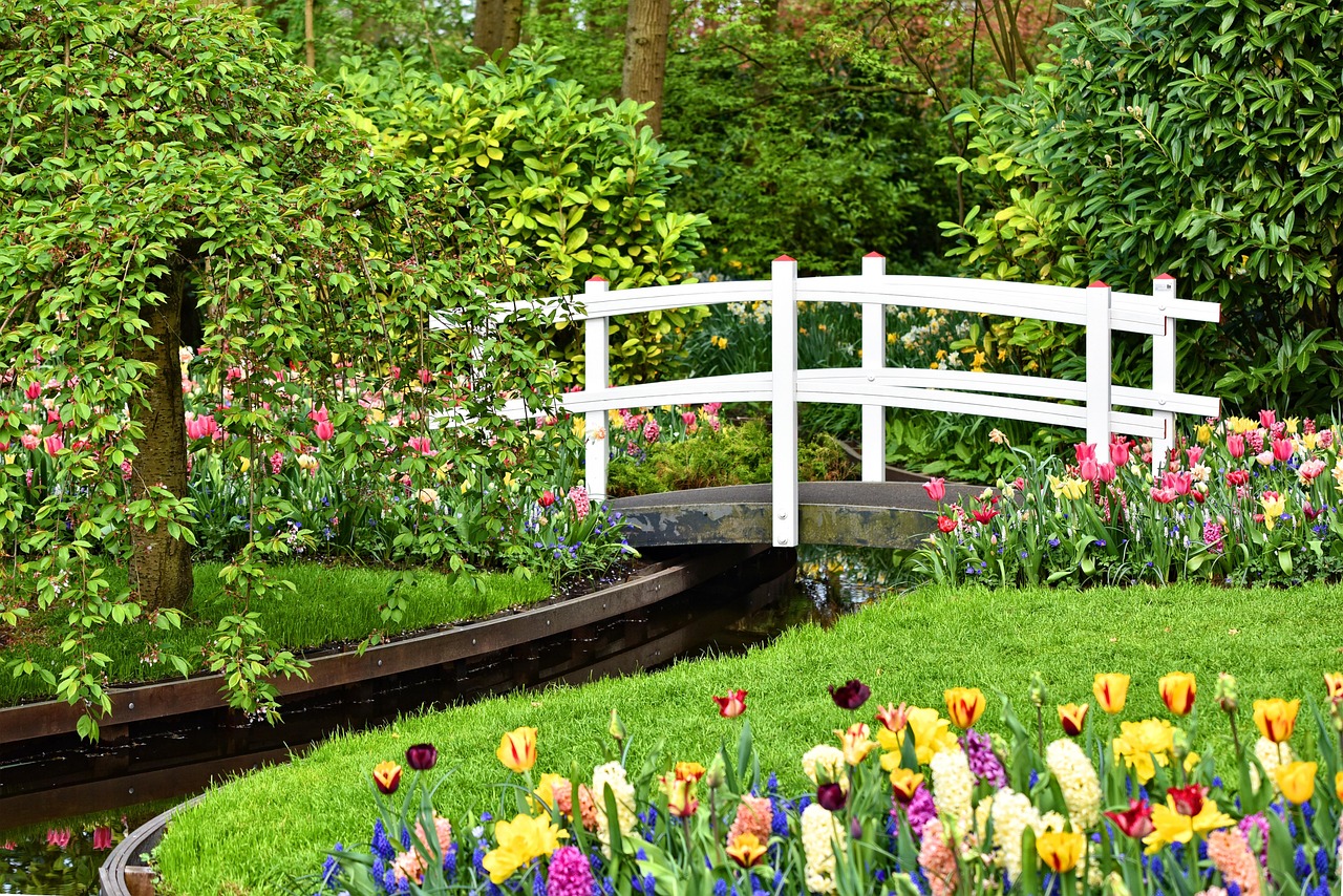 What To Plant In July In Georgia