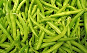 Growing Green Beans In Containers