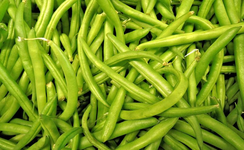 green beans, harvest, vegetable, raw, delicious, food, green food, green vegetables, green beans, green beans, green beans, green beans, green beans