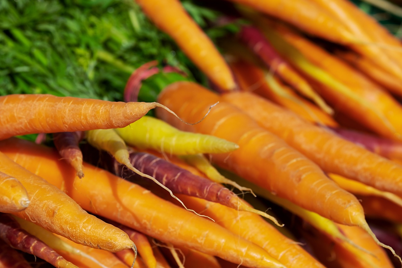 Growing Carrots