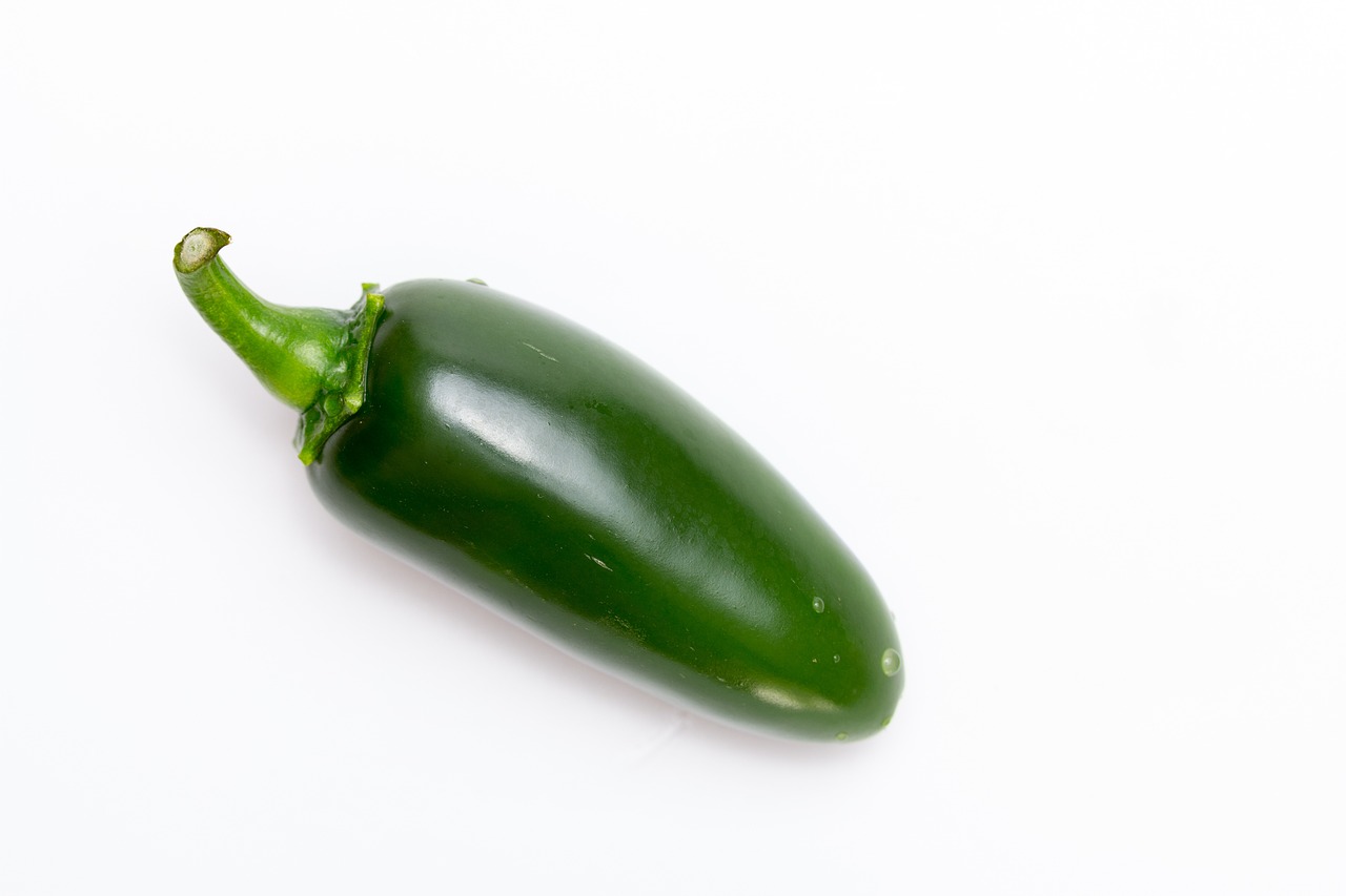 Harvesting Jalapeño Peppers