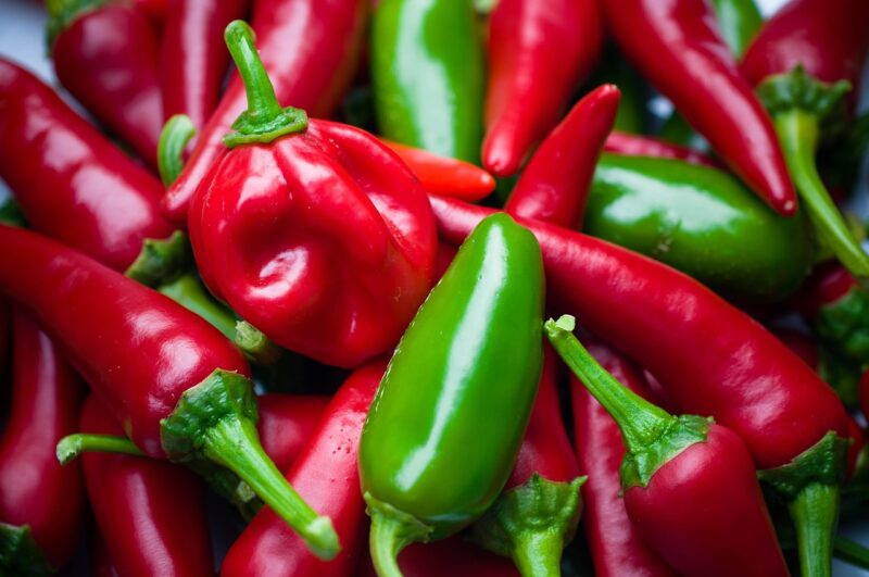 chilli, habanero, sharp, pods, vegetables, meal, red, food, habanero peppers, jalapeno, paprika, chilli, chilli, chilli, chilli, chilli, habanero, jalapeno, jalapeno, jalapeno