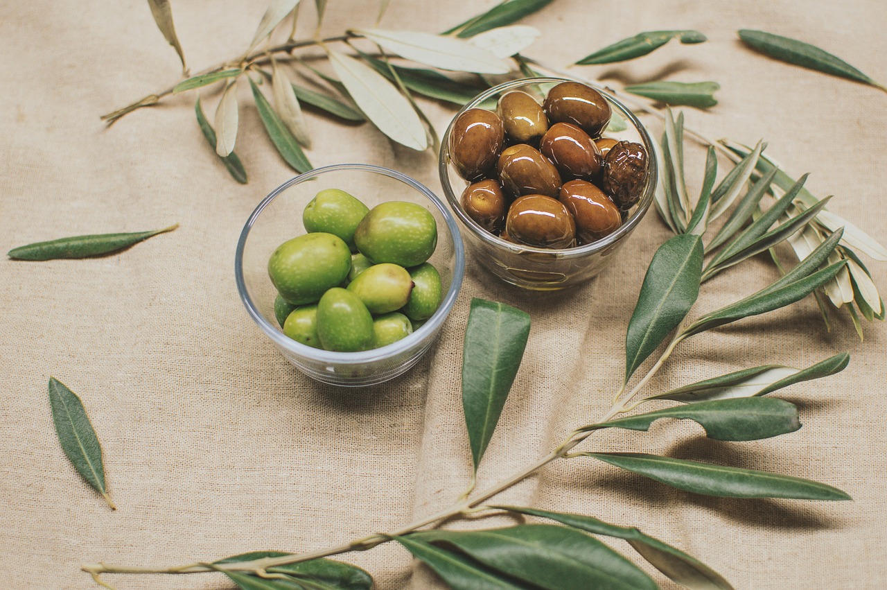 Harvesting Olives at Home