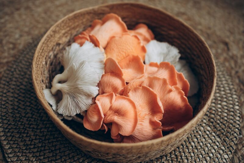 Colorful oyster mushrooms in a woven basket, perfect for culinary and culinary design themes.
