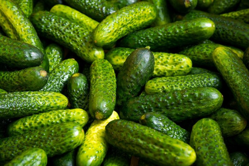 cucumber, pickle, gherkin, pickled cucumber, vegetables, nutrition, eat, food, pickle, pickle, pickle, pickle, pickle, gherkin
