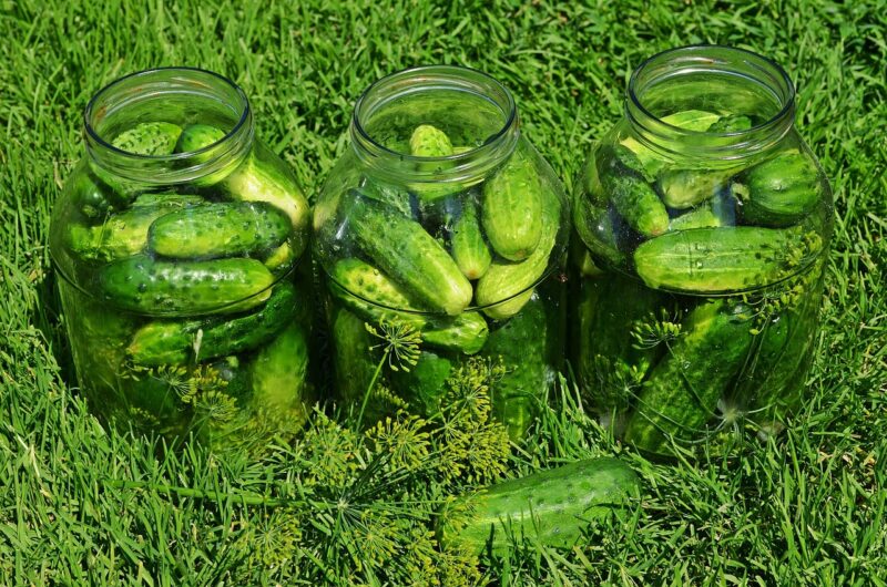 cucumbers, vegetables, food, kitchen, pickling cucumbers, salad, dinnerware, eat, lunch, cucumber salad, green, pickle, dish, cook, dill, garlic, preserves, food, pickle, pickle, pickle, pickle, pickle, dill, preserves