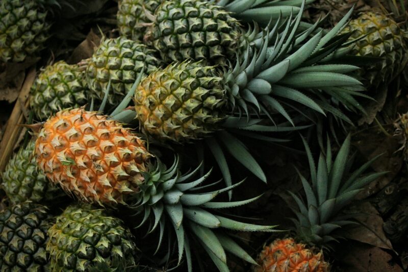pineapple, fruit, food, pineapple, pineapple, pineapple, pineapple, pineapple