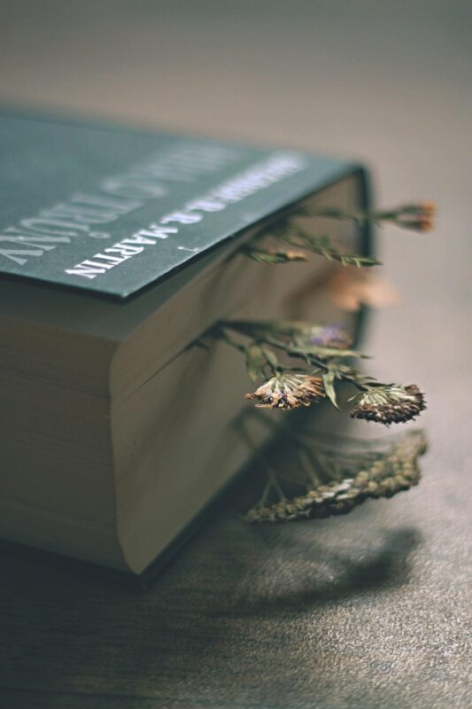 book, game of thrones, imagination, flower wallpaper, literature, flower background, reading, light, dried flowers, beautiful flowers, flower, pressed flowers, nature, emotion, dark, atmosphere
