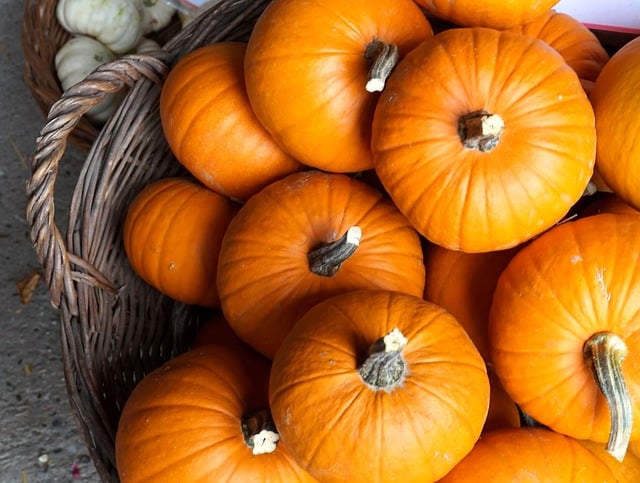 How Long Do Pumpkins Keep?