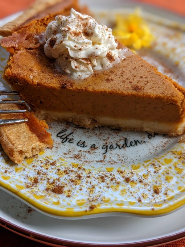 pumpkin pie, pie, dessert, pastry, baked, bakery, delicious, pumpkin pie, pumpkin pie, pumpkin pie, pumpkin pie, pumpkin pie