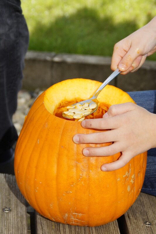 scrape off, scoop out, pumpkin, halloween, fall, orange, vegetables, hollow out, 31 october, lid, carving pumpkin, carve pumpkin ghost, halloweenkuerbis, pumpkin ghost, autumn decoration, diy pumpkin ghost, to carve, october, jack o'lantern, to empty, inner, child, trick or treat