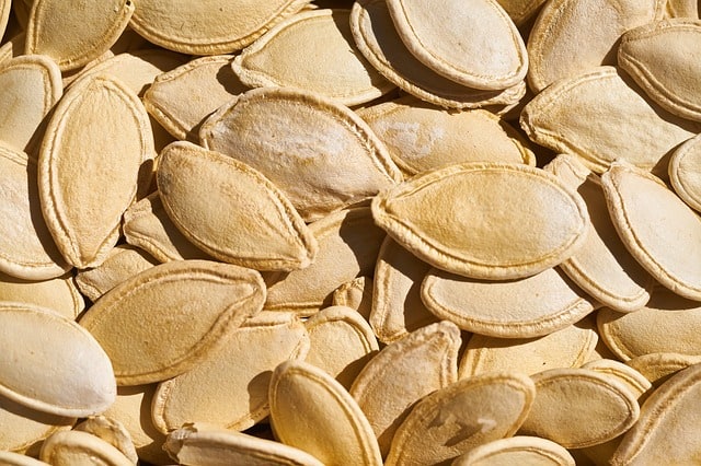 pumpkin seeds closeup