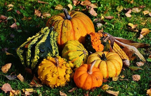 Types of Pumpkins