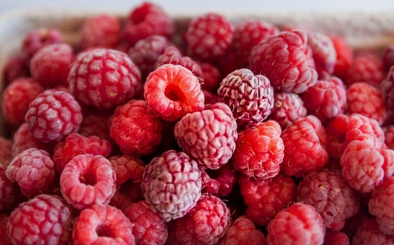 raspberries, red, berry, cute, fruit, nature, yummy, healthy, ripe, wild raspberry, vitamins, harvest, raspberries, raspberries, raspberries, raspberries, raspberries