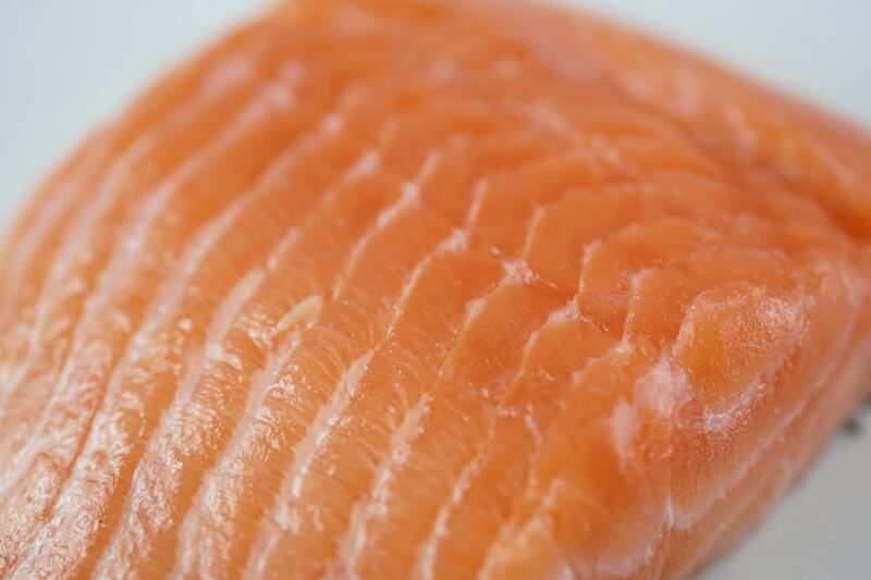salmon, fish, salmon fillet, fresh salmon, raw salmon, raw, fillet, nature, fresh, healthy, eat, food, food photography