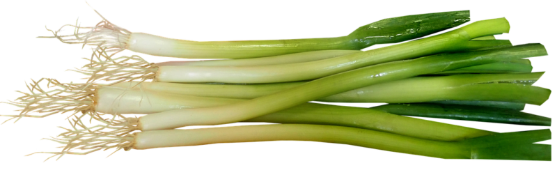 spring onions, vegetable, salad, food, cooking, vegetarian, cut out, isolated, spring onions, spring onions, spring onions, spring onions, spring onions