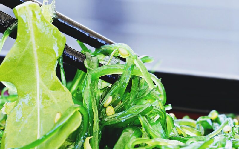 salad, chuka wakame, chopsticks, chuka wakame salad, sushi, goma wakame, goma wakame salad, japanese, yaki seaweed salad, seaweed salad, food, fresh, algae, nourishment, yummy, healthy, meal, seafood, starter, vegetarian, green, wakame seaweed, sushi, seaweed salad, algae, algae, algae, algae, algae